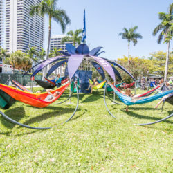 ChillZone with Eno Hammocks