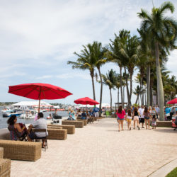 seawall in the cove