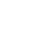 Discover The Palm Beaches